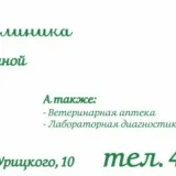 Ветеринарная клиника 9 жизней  на проекте VetSpravka.ru